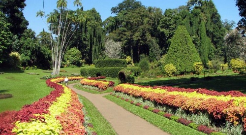 Oak Ray Regency Hotel image 10